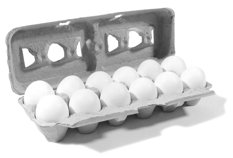 dozen_eggs.jpg