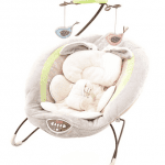 Fisher Price Bouncer