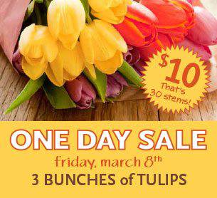 one day sale on tulips