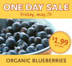Organic-Blueberry-Sale