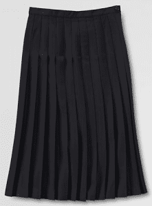 Solid Long Pleated Skirt