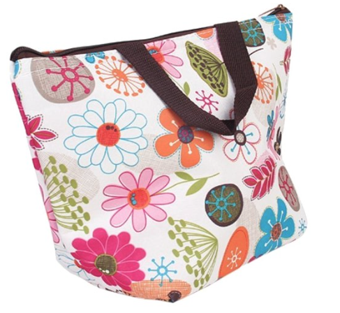 coleman insulated lunch bag