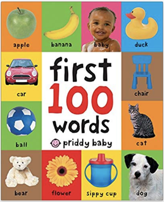 Priddy First 100 Words
